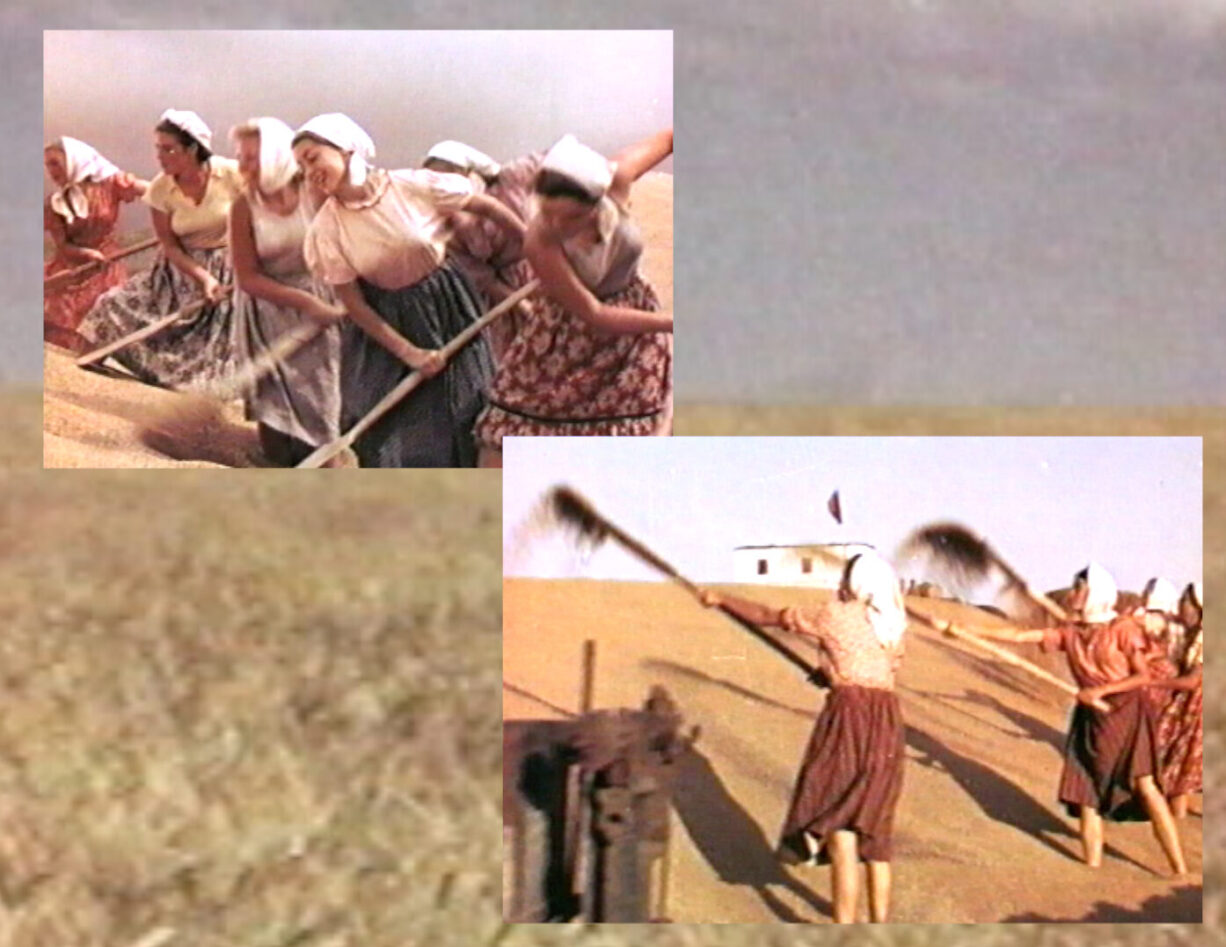 THE TITLE WAS SHOT, 2009