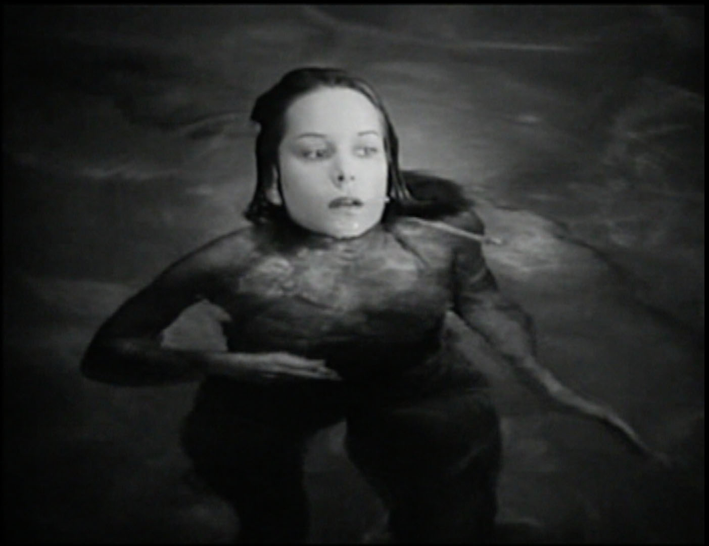 THE TITLE WAS SHOT, 2009
